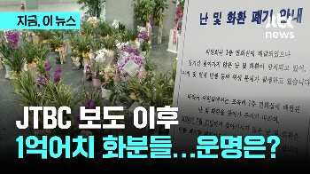 '1억원 어치' 화분, 운명은? 국회사무처 “폐기 계획 일단 중단…방안 다시 고민“