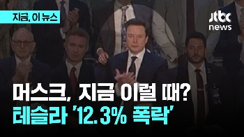 머스크 '정치놀음' 할 때?…테슬라 주가 '12.3% 폭락'