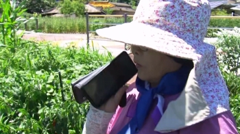 “엄마, 폭염이래 밭일 그만하세요“…온열질환 막는 '자녀경보'