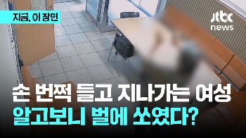 손 번쩍 들고 지나가는 여성…알고보니 벌에 쏘였다?