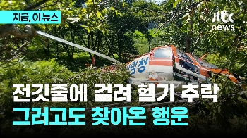 전깃줄에 걸려 추락...산림청 헬기 조종사 구사일생