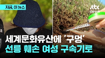 세계문화유산 '선릉' 훼손한 50대 여성 구속기로 