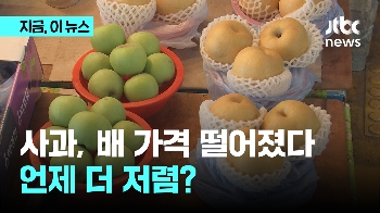 명절 앞두고 사과, 배 가격 하락세...언제 사야 더 저렴?