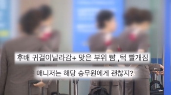 승무원 폭행당했는데 이륙한 비행기…“일 크게 만들지 마“?