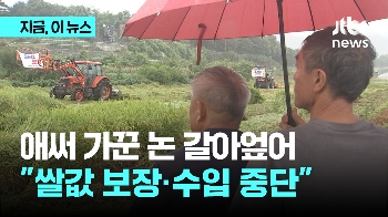 추석 앞두고 논 갈아엎은 농민들 “쌀값 보장하고 수입 중단“