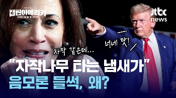 [캡틴아메리카] “자작나무 타는 냄새가...“ 음모론 들썩, 왜? 