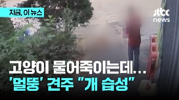 목줄 풀린 반려견과 산책…길고양이 물어죽이는데 “개 습성이라 놔둬“