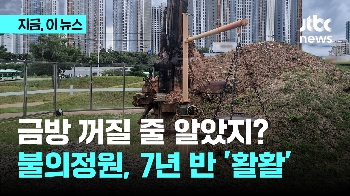 금방 꺼질 줄 알았지?…불의 정원, 7년 반 '활활'