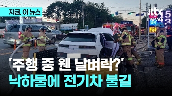 주행 중 웬 날벼락?…트럭에서 떨어진 낙하물에 전기차 불길