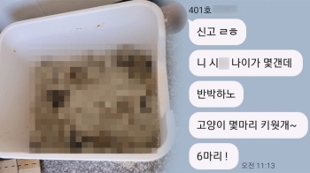 4개월 만에 '고양이 똥밭' 된 월셋집…“악취에 눈 시릴 정도“