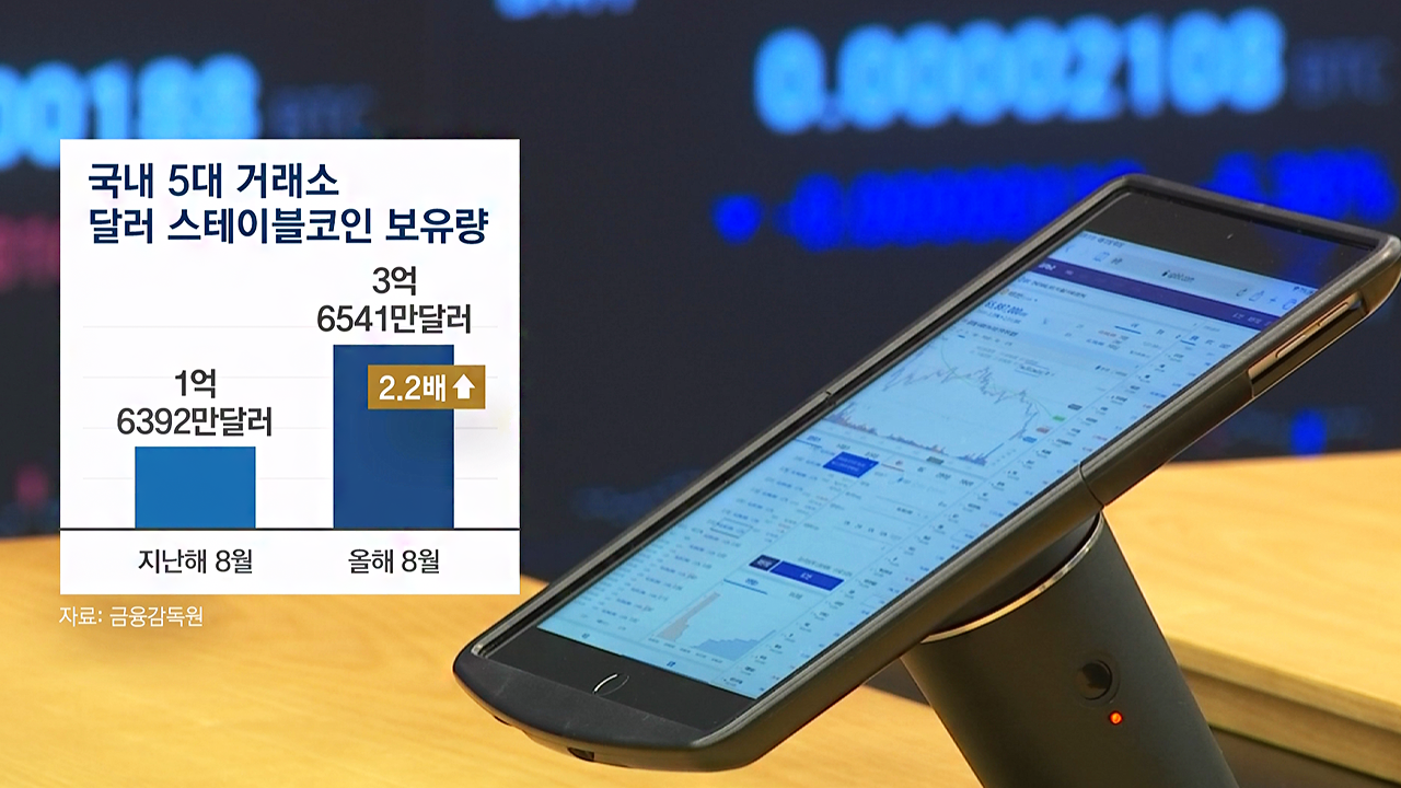 전세계 파고드는 스테이블코인…갈 길 먼 한국 / 풀버전