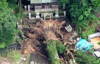 둘레 11m 삼나무 쓰러뜨린 일본 폭우…중국선 4000만 명 이재민