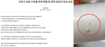 “임신한 아내도 마셔“…인천 '수돗물 유충' 국민청원 2천명 동의