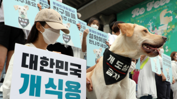 도살장서 구출된 '설악'…청와대에 '개 도살 금지' 공개편지