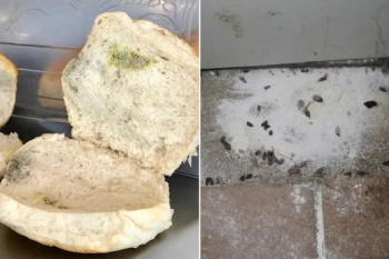 쥐 사체·배설물·곰팡이…런던 음식점 점검하니 '이럴 수가'