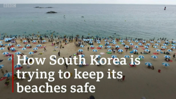 BBC가 보도한 한국 해수욕장 관련 확진자가 0명인 이유