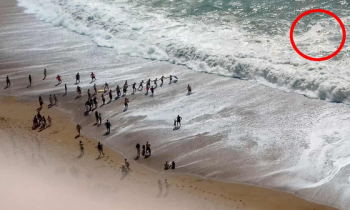 [영상] 해변 휩쓸린 남성…20명 인간사슬로 구했다