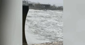[영상] 강풍에 폭우로 3만 가구 정전…일본 강타한 태풍 '마이삭' 위력