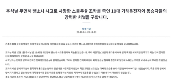 “누나가 싸늘하게 돌아왔다“…무면허 10대 엄벌 호소한 가족