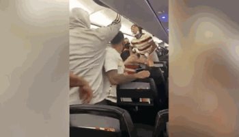 [영상] 턱스크 때문에 아수라장 된 비행기…경찰, 테이저건으로 제압