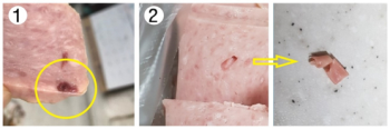 햄 속에 벌레? 혈관일 수도…합격도장은 '식용' 한우 '빨강'