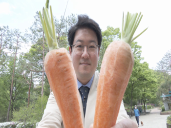 [미리보는 발품] 비대면시대의 역설, 이웃사촌 몰리는 '당근 마켓' 인기 배경은?