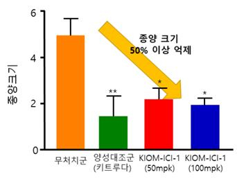 덜 익은 복분자서 항암 후보물질…대장암 환자 대상 임상 2상