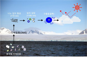 북극 미세조류가 구름 생성에 도움…지구 온난화 늦춰