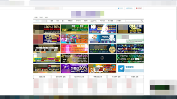 성인물 불법 유포하고 도박광고로 8억원 챙긴 운영자 검거