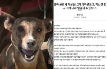 “사냥개 6마리에 뜯기고 있는데, 견주는 가만히“ 개물림 가족의 청원