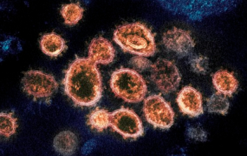 CDC “델타 변이, 돌파감염 가능…수두만큼 전염성 강하다“