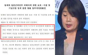 '윤미향 보호법' 비판 쏟아져 “이용수 할머니도 위법 대상이라는 거냐“