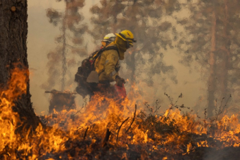 미국 요세미티 공원 산불 확산…'여의도 25배' 태워