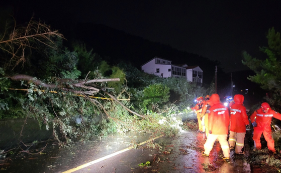 제11호 태풍 '힌남노'가 6일 새벽 경남 남해안에 상륙한 가운데 소방대원들이 이날 새벽 통영시 산양읍에서 강풍에 쓰러진 나무 제거작업을 하고 있다 〈사진=경남소방본부 제공〉