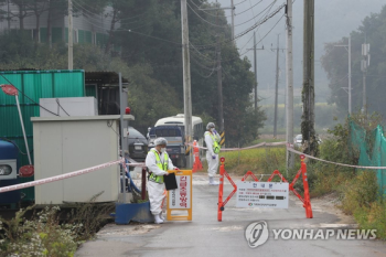 김포·파주서 아프리카돼지열병 확진…경기도에서만 2곳 발생