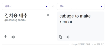 구글 번역에 '김치용 배추' 검색하면 나오던 'Chinese' 삭제됐다