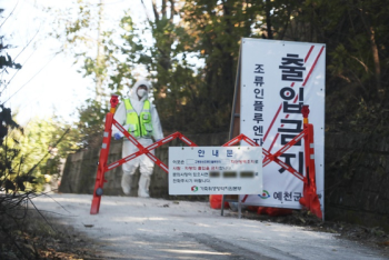 청주 육용오리 농장서 고병원성 조류인플루엔자 확진