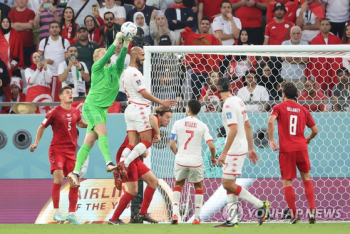 [2022월드컵]덴마크와 튀니지 0-0...아쉬운 공방전에 첫 무득점 
