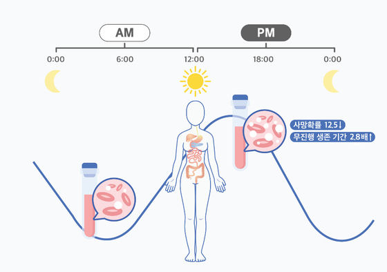 일주기 리듬을 고려한 시간항암요법. 〈자료=기초과학연구원(IBS) 제공〉