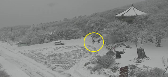 18일 제주도에 폭설이 내려 한라산 지역엔 이날 30cm가 넘는 눈이 내렸다. 사진은 18일 오후 4시50분 한라산 1100고지 휴게소를 촬영한 한라산국립공원 CCTV 캡처. 사진 가운데에 보면 누군가가 주차장과 계단의 눈을 치우고 있다. 〈사진=한라산 국립공원관리소 CCTV 캡처〉 