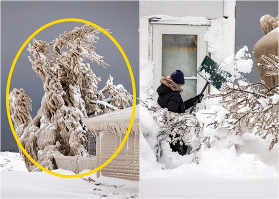 현지시간 29일 워싱턴포스트(WP)와 CNN에 따르면 지난 주말 눈 폭풍으로 인해 북미 오대호 중 하나인 이리호 주변 캐나다 온타리오주 연안 주택들이 얼음집으로 변했다. 〈사진=로이터 연합뉴스〉