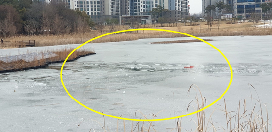 전북 전주시 덕진구 송천동 세병호의 얼음이 깨진 모습. 〈사진=덕진구청 제공〉