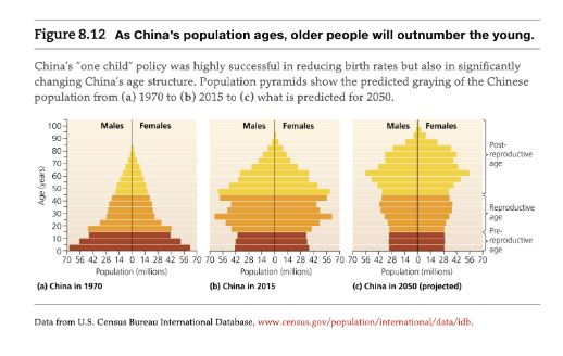 인구조사국 중국인구구조 자료. 〈사진=인구조사국 홈페이지〉