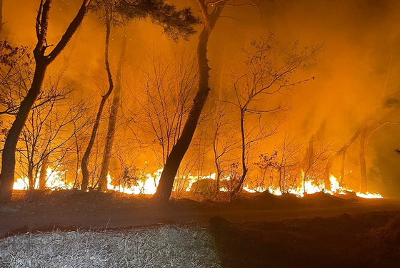 1일 저녁 울산시 울주군 상북면 궁근정리 한 야산에서 화재가 발생해 불길과 연기가 치솟고 있다. 〈사진=울산소방본부 제공〉
