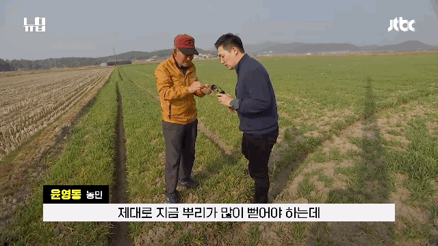[박상욱의 기후 1.5] 역대급 가뭄과 고온의 콜라보…식량안보 '위기'