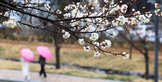 〈사진=연합뉴스〉