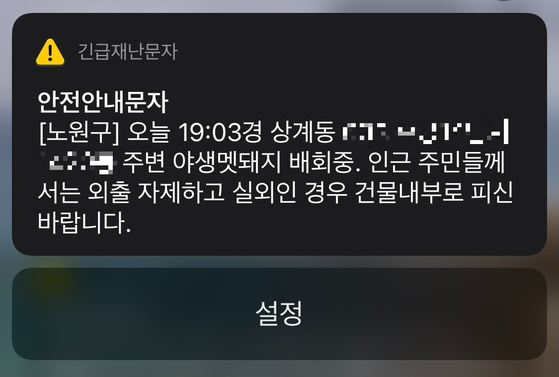 7일 저녁 노원구청이 주민 등에 발송한 멧돼지 관련 안전 안내 문자.〈사진=독자 제공〉