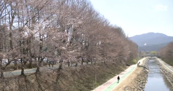 [날씨] 아침저녁엔 '쌀쌀'…한낮엔 18도까지 올라