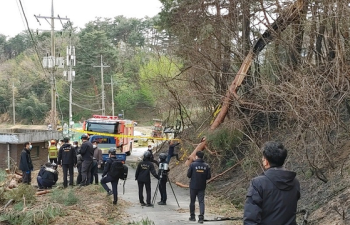 강원산불 원인 '전선 단락' 추정…강풍에 나무 쓰러져 발생