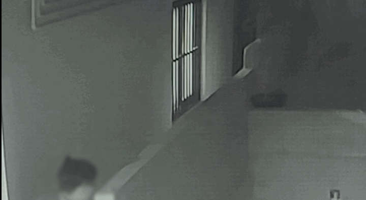 [영상] 원룸 골목 돌며 창문에 손 쓱 넣은 남성…"술 취해서"
